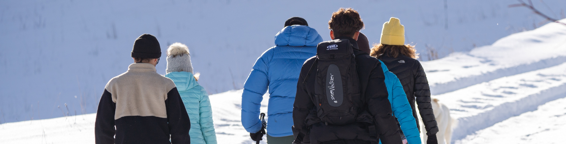 Snowshoes vs Crampons vs Microskipes For Winter Hikes TSL Outdoor